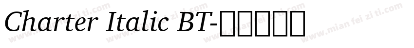 Charter Italic BT字体转换